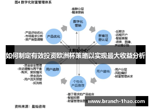 如何制定有效投资欧洲杯策略以实现最大收益分析