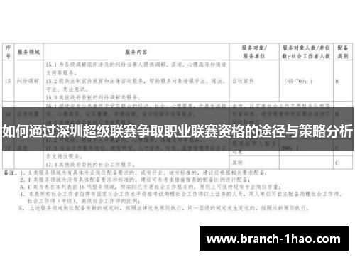 如何通过深圳超级联赛争取职业联赛资格的途径与策略分析