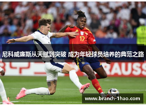 尼科威廉斯从天赋到突破 成为年轻球员培养的典范之路