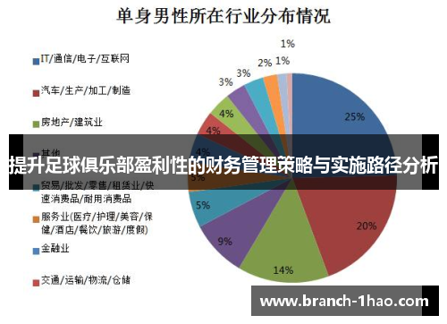 提升足球俱乐部盈利性的财务管理策略与实施路径分析