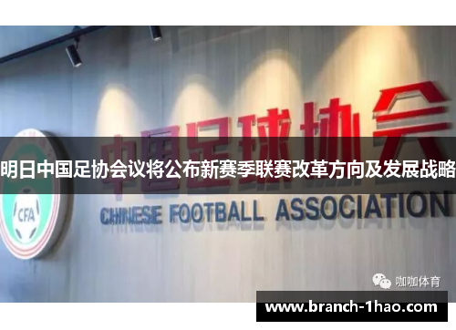 明日中国足协会议将公布新赛季联赛改革方向及发展战略