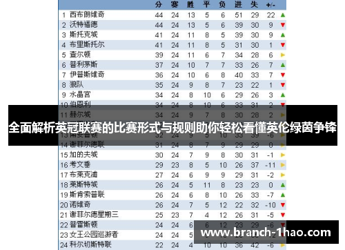 全面解析英冠联赛的比赛形式与规则助你轻松看懂英伦绿茵争锋