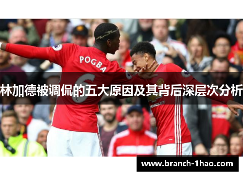 林加德被调侃的五大原因及其背后深层次分析