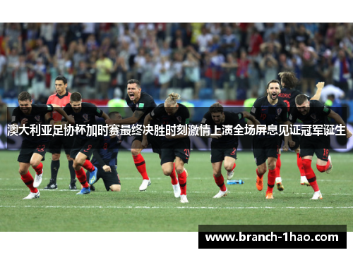 澳大利亚足协杯加时赛最终决胜时刻激情上演全场屏息见证冠军诞生