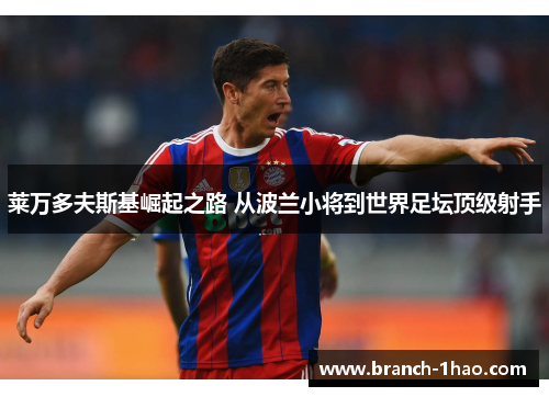 莱万多夫斯基崛起之路 从波兰小将到世界足坛顶级射手