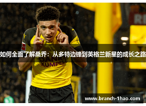 如何全面了解桑乔：从多特边锋到英格兰新星的成长之路