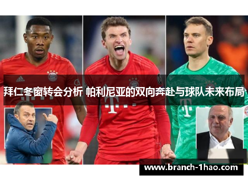 拜仁冬窗转会分析 帕利尼亚的双向奔赴与球队未来布局