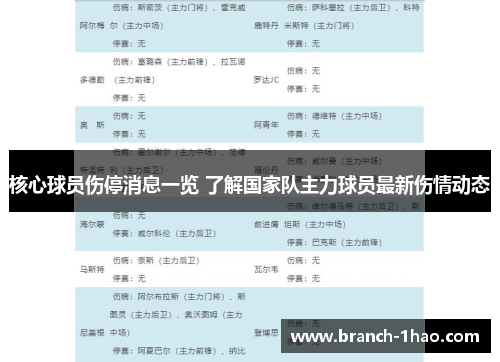 核心球员伤停消息一览 了解国家队主力球员最新伤情动态