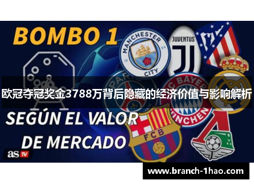 欧冠夺冠奖金3788万背后隐藏的经济价值与影响解析