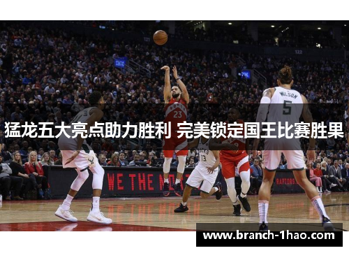 猛龙五大亮点助力胜利 完美锁定国王比赛胜果