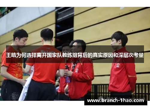 王皓为何选择离开国家队教练组背后的真实原因和深层次考量