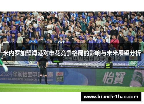 米内罗加盟海港对申花竞争格局的影响与未来展望分析