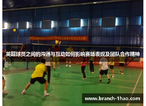 英超球员之间的沟通与互动如何影响赛场表现及团队合作精神