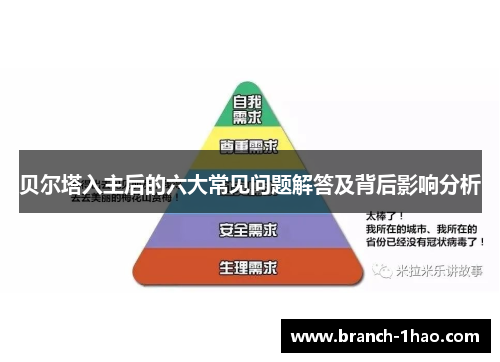 贝尔塔入主后的六大常见问题解答及背后影响分析