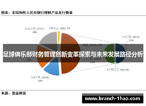 足球俱乐部财务管理创新变革探索与未来发展路径分析 足球俱乐部财务管理创新变革探索与未来发展路径分析