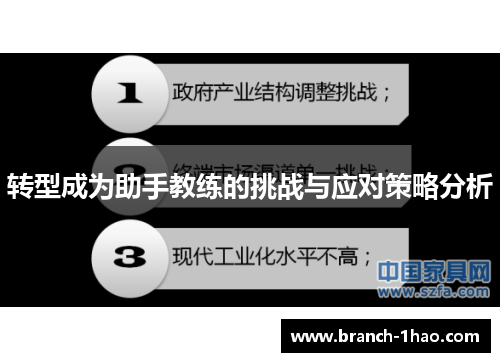 转型成为助手教练的挑战与应对策略分析 转型成为助手教练的挑战与应对策略分析