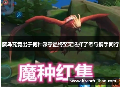 魔鸟究竟出于何种深意最终坚定选择了老马携手同行 魔鸟究竟出于何种深意最终坚定选择了老马携手同行