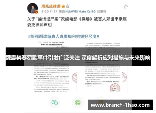 魏震禁赛罚款事件引发广泛关注 深度解析应对措施与未来影响